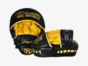Classic Focus Mitts