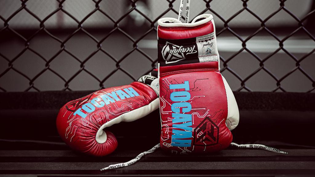 The best boxing gloves