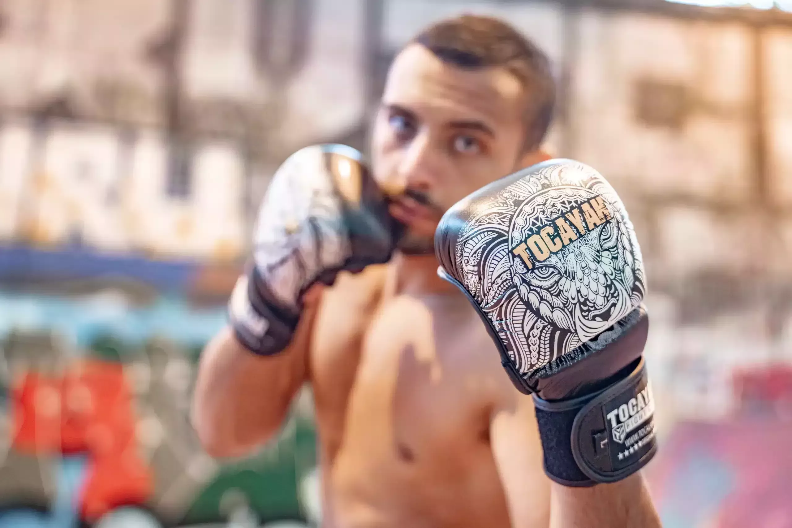 Fighting Styles in MMA : Master Techniques with Tocayah