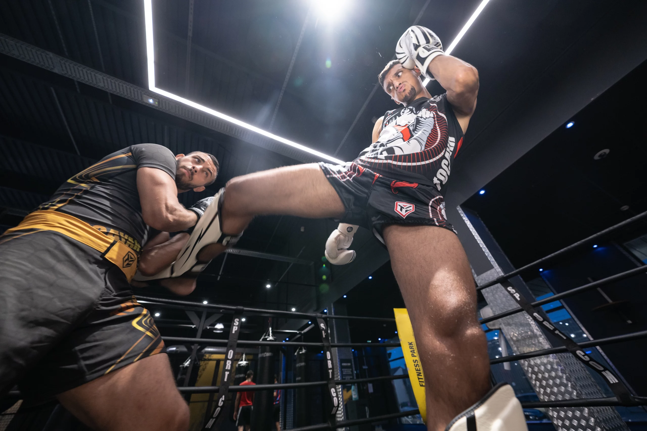 Boxing Equipment List: Gear Up Like a Pro with Tocayah