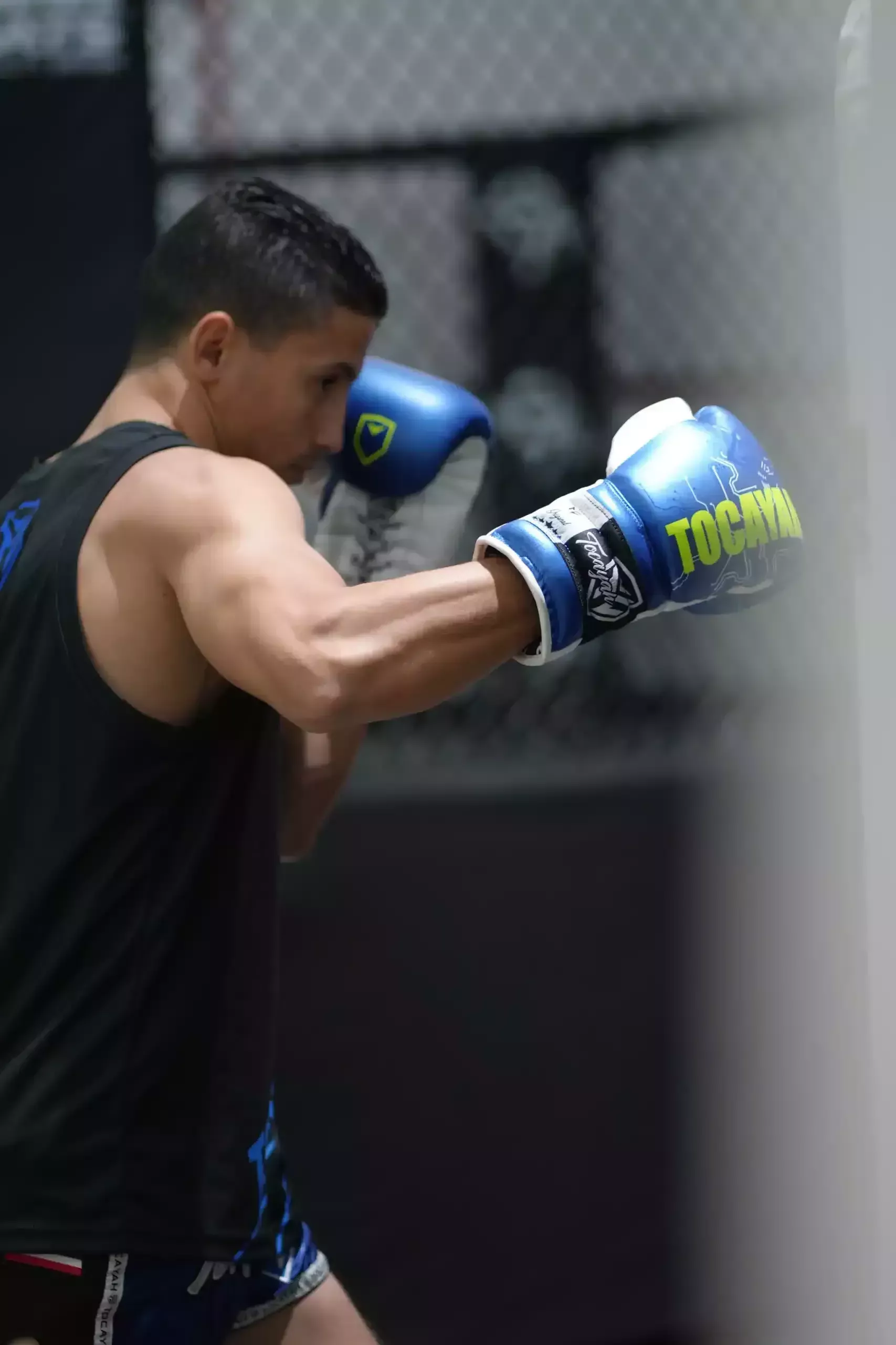 Boxing Gloves Price Dubai: Quality and Value with Tocayah