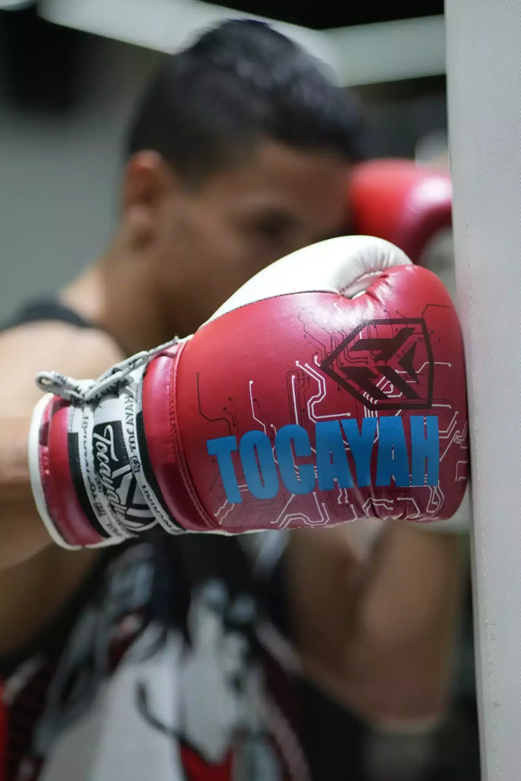 Tocayah Boxing Gloves Dubai : Performance and Style Combined