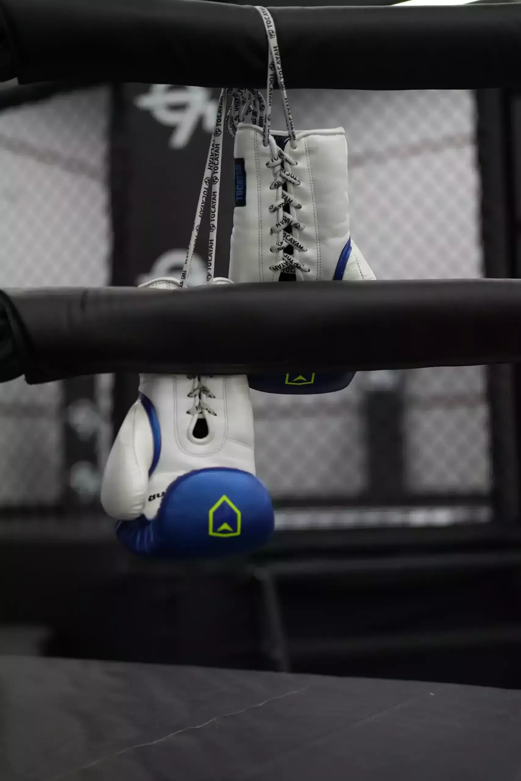 Are Thai Boxing Gloves Different from Traditional Boxing Gloves?