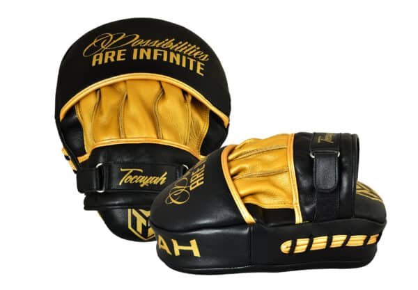 Classic Focus Mitts